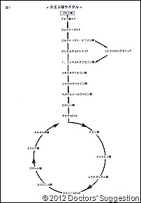 クエン酸サイクル（図１）　｜　DoctorsSuggestion.com（健生）